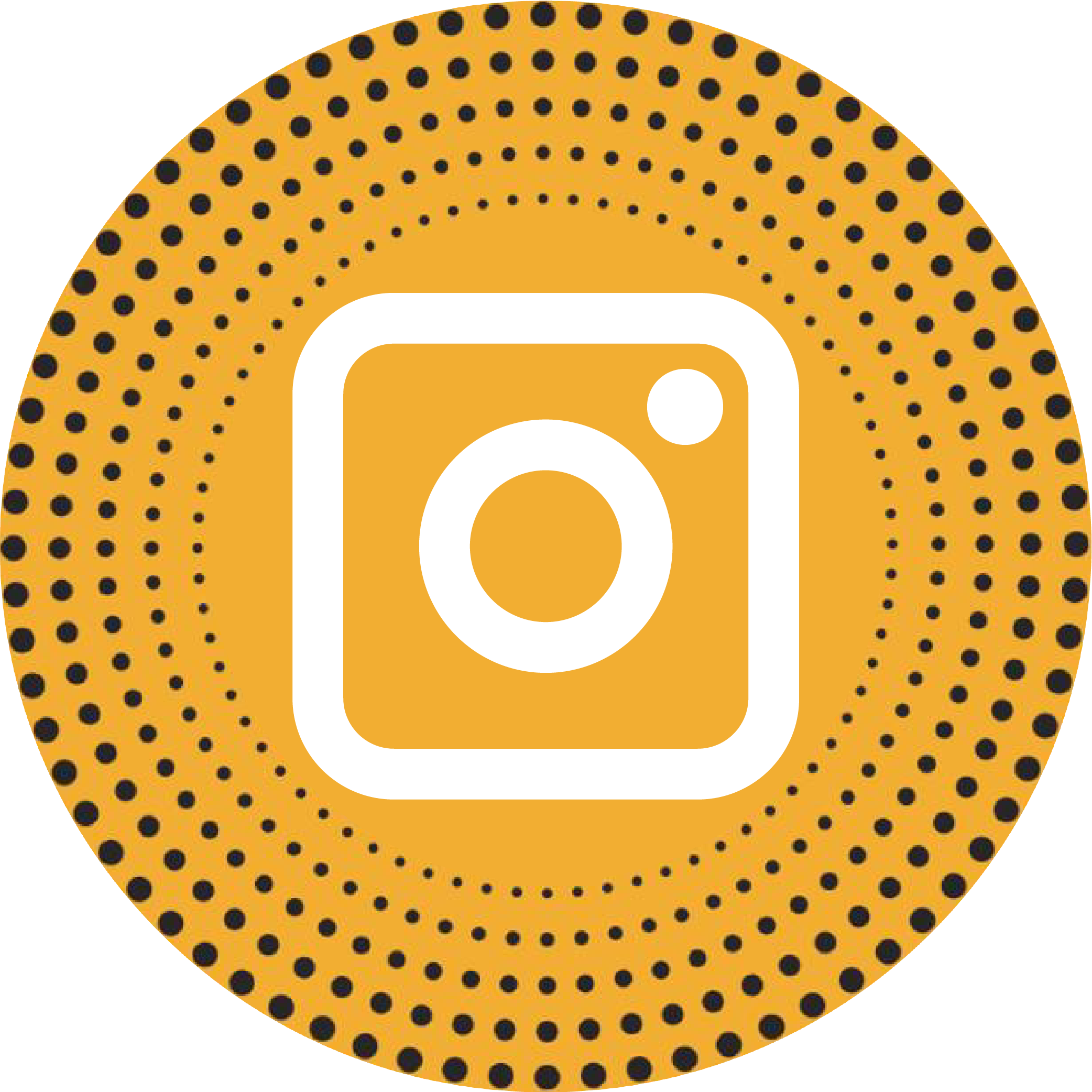 Instagram Icon